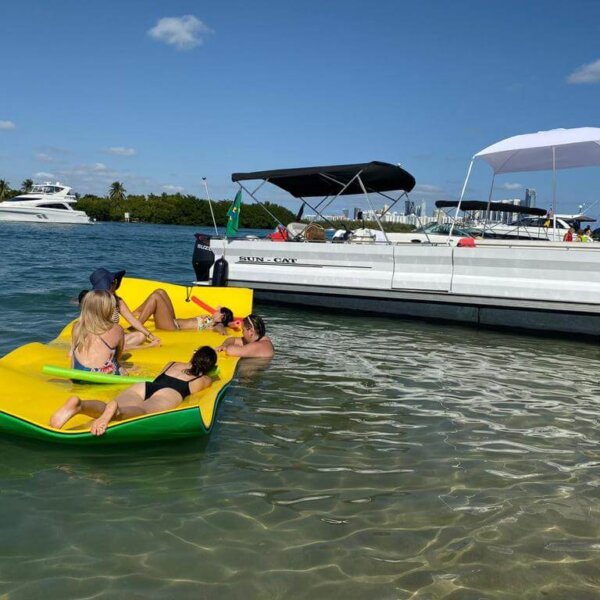 25' White Pontoon
