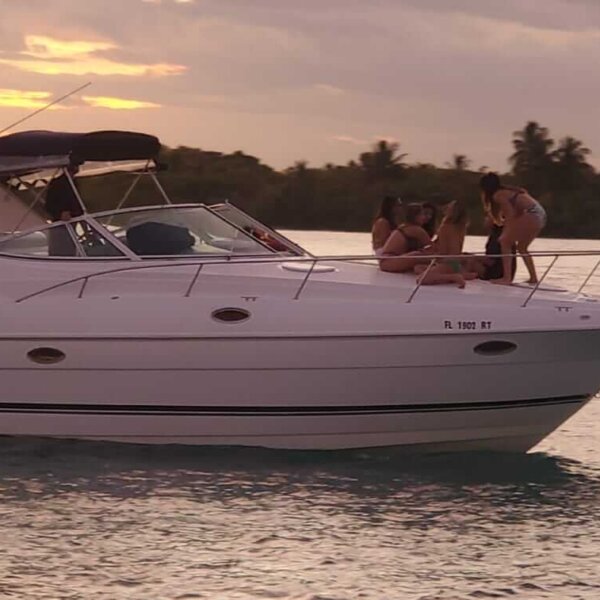 36’ Cruiser Yachts