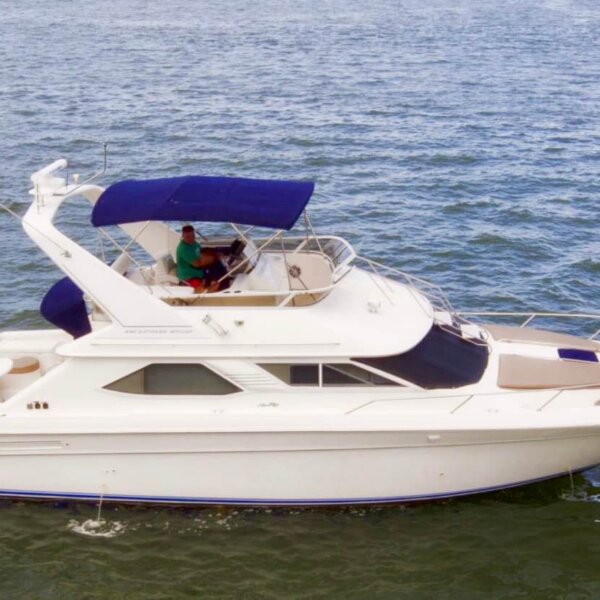 44' Sea Ray Express Bridge Flybridge