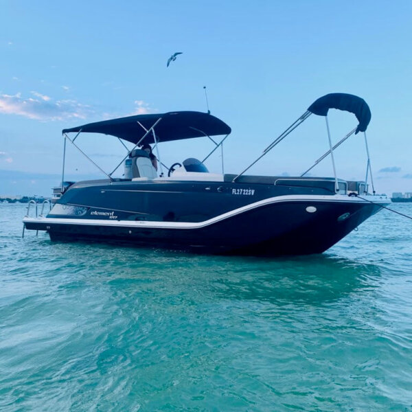 18' Bayliner 2019