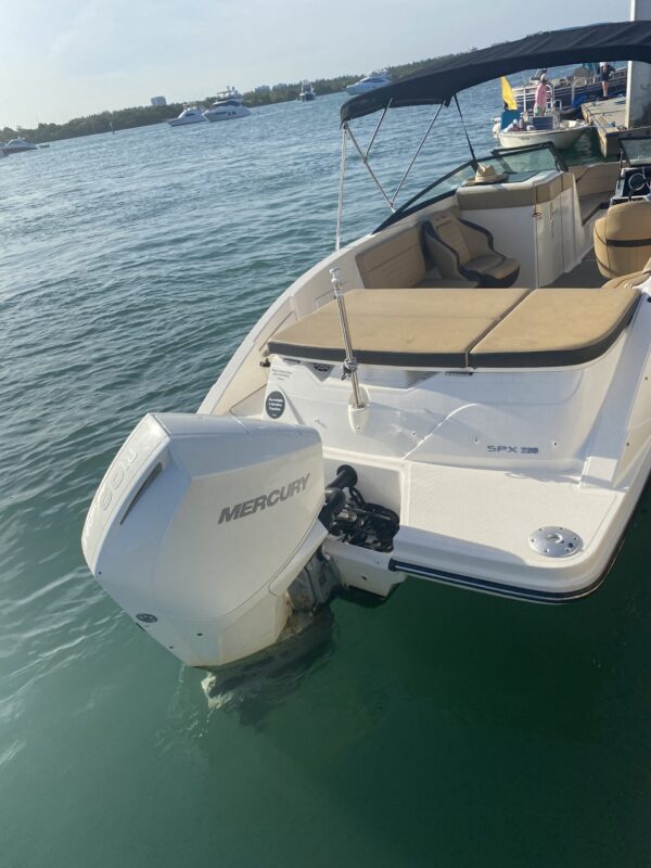 23' Sea Ray - Image 16